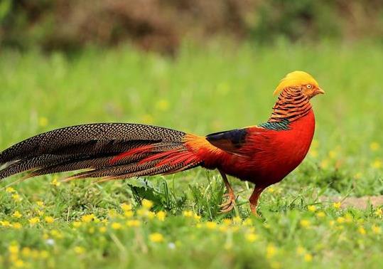 河南省漯河市十大旅游景點排行榜 漯河有什么好玩的地方