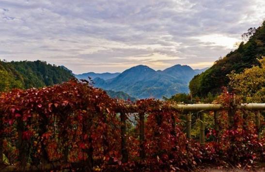 湖北省神農架十大旅游景點排行榜 神農架有什么好玩的地方