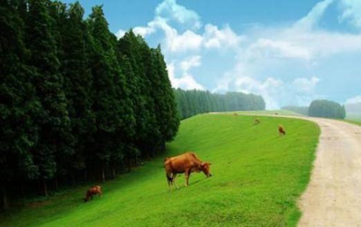 湖北省潛江十大旅游景點排行榜 潛江有什么好玩的地方