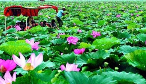 湖南省岳陽十大旅游景點排行榜 岳陽有什么好玩的地方
