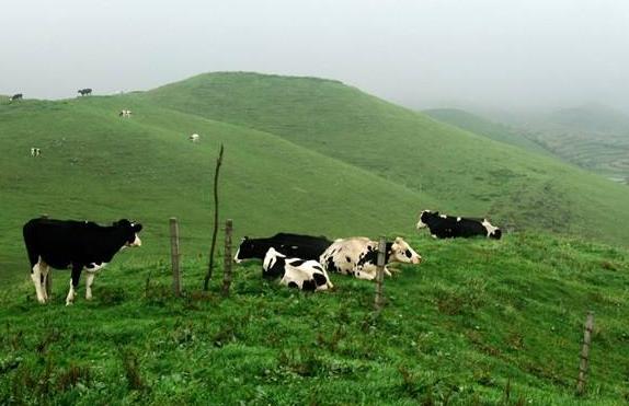 湖南省邵陽市十大旅游景點排行榜 邵陽有什么好玩的地方