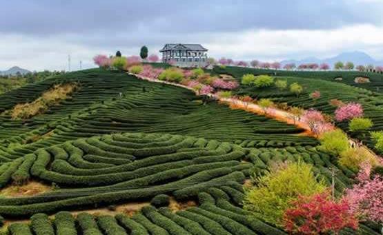 廣東省梅州市十大旅游景點排行榜 梅州有什么好玩的地方