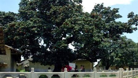 廣西省欽州市十大旅游景點(diǎn)排行榜 欽州有什么好玩的地方