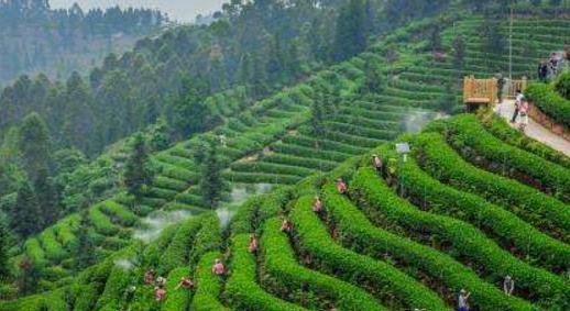 廣西省欽州市十大旅游景點(diǎn)排行榜 欽州有什么好玩的地方