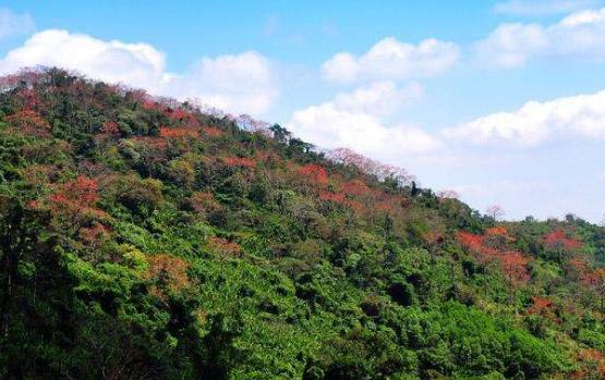 海南省白沙市十大旅游景點(diǎn)排行榜 白沙有什么好玩的地方