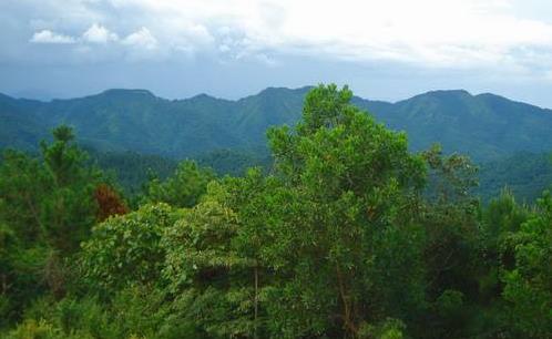 海南省白沙市十大旅游景點(diǎn)排行榜 白沙有什么好玩的地方