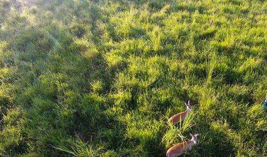 海南省白沙市十大旅游景點(diǎn)排行榜 白沙有什么好玩的地方