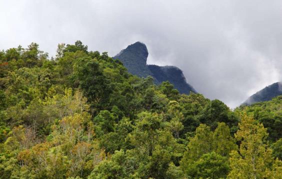 海南省白沙市十大旅游景點(diǎn)排行榜 白沙有什么好玩的地方