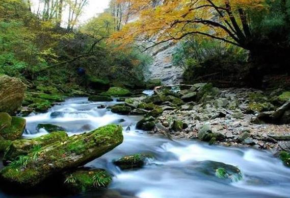 陜西省漢中市十大旅游景點排行榜 漢中有什么好玩的地方