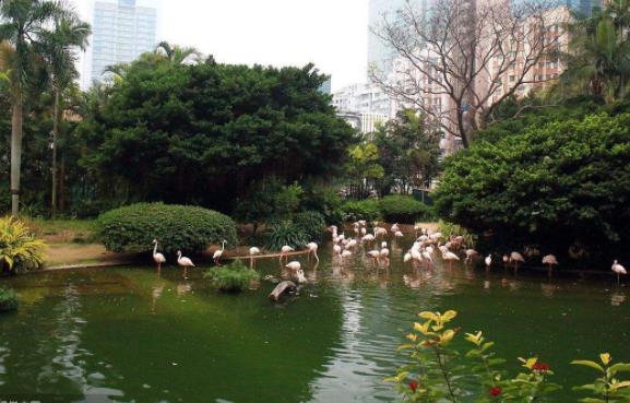 香港油尖旺區十大旅游景點排行榜 油尖旺區有什么好玩的地方