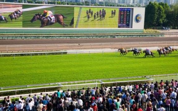 香港油沙田區(qū)十大旅游景點(diǎn)排行榜 沙田區(qū)有什么好玩的地方