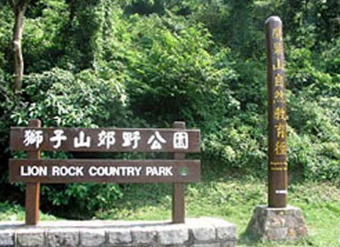 香港油沙田區(qū)十大旅游景點(diǎn)排行榜 沙田區(qū)有什么好玩的地方