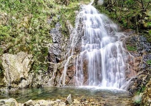 香港油大埔區(qū)十大旅游景點(diǎn)排行榜 大埔區(qū)有什么好玩的地方