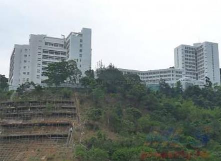 香港油大埔區(qū)十大旅游景點(diǎn)排行榜 大埔區(qū)有什么好玩的地方