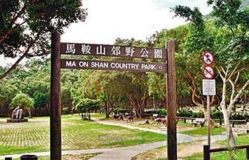 香港油沙田區(qū)十大旅游景點(diǎn)排行榜 沙田區(qū)有什么好玩的地方