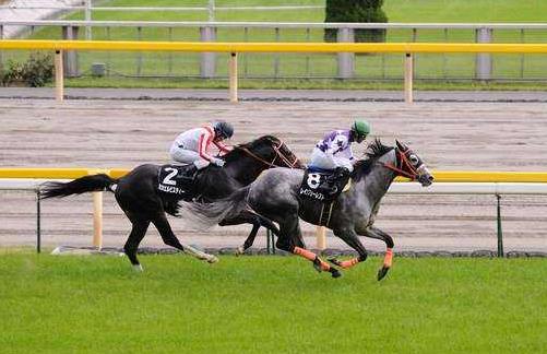 日本東京都十大旅游景點排行榜 東京都有什么好玩的地方