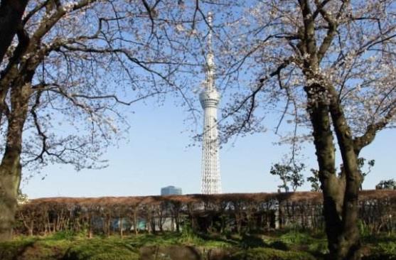 日本東京都十大旅游景點排行榜 東京都有什么好玩的地方