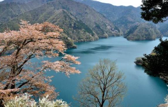 日本東京都十大旅游景點排行榜 東京都有什么好玩的地方