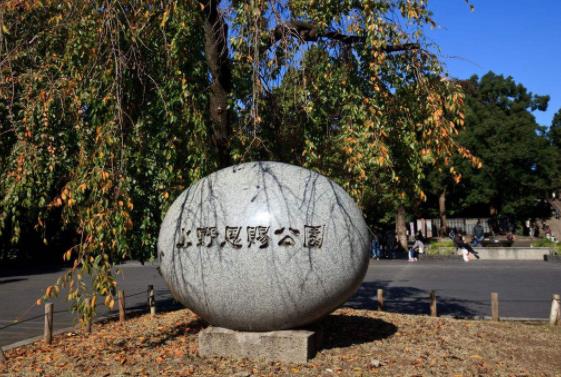 日本東京都十大旅游景點排行榜 東京都有什么好玩的地方