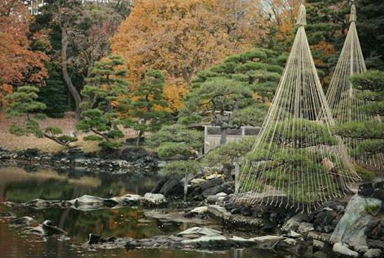 日本東京都十大旅游景點排行榜 東京都有什么好玩的地方