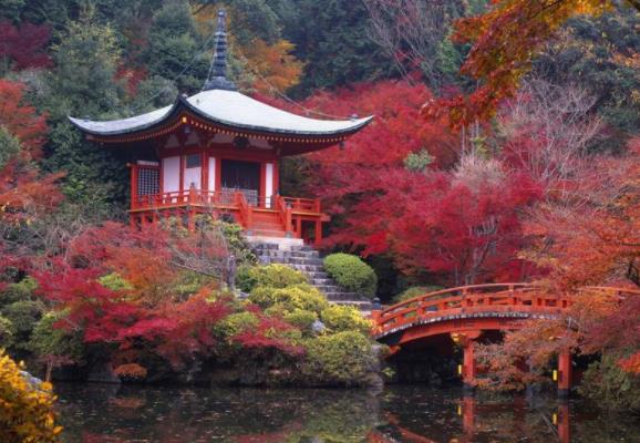 日本京都府十大旅游景點(diǎn)排行榜 京都府有什么好玩的地方