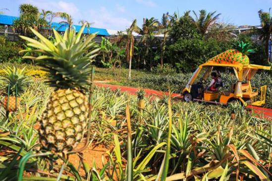 日本沖繩縣十大旅游景點排行榜 沖繩縣有什么好玩的地方