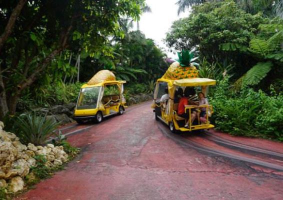 日本沖繩縣十大旅游景點排行榜 沖繩縣有什么好玩的地方