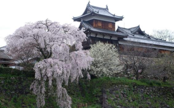 日本奈良縣十大旅游景點(diǎn)排行榜 奈良縣有什么好玩的地方