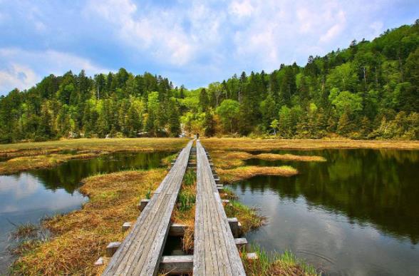 日本栃木縣十大旅游景點排行榜 栃木縣有什么好玩的地方