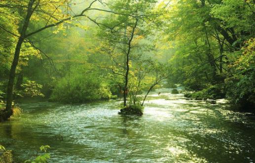 日本栃木縣十大旅游景點排行榜 栃木縣有什么好玩的地方