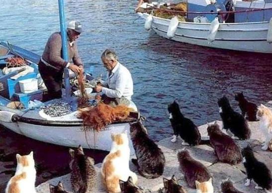 日本宮城縣十大旅游景點排行榜 宮城縣有什么好玩的地方