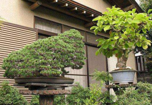 日本埼玉縣十大旅游景點排行榜 埼玉縣有什么好玩的地方