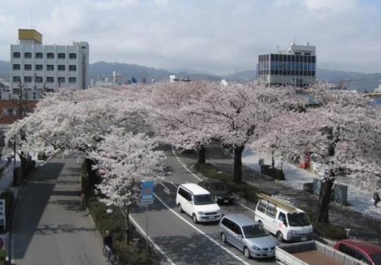 日本茨城縣十大旅游景點排行榜 茨城縣有什么好玩的地方