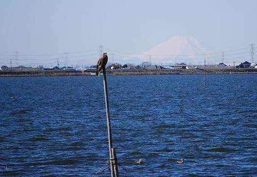 日本茨城縣十大旅游景點排行榜 茨城縣有什么好玩的地方