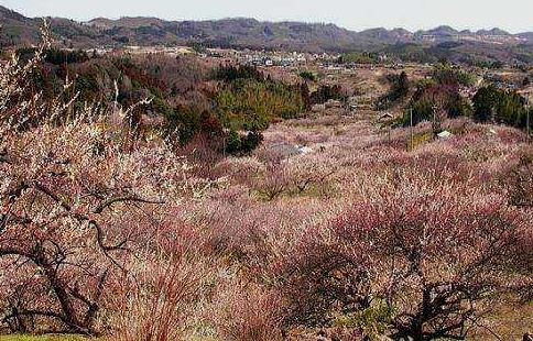 日本群馬縣十大旅游景點排行榜 群馬縣有什么好玩的地方