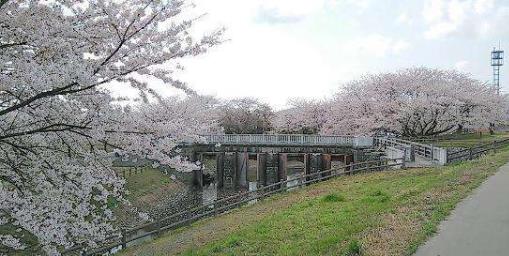 日本新潟縣十大旅游景點排行榜 新潟縣有什么好玩的地方