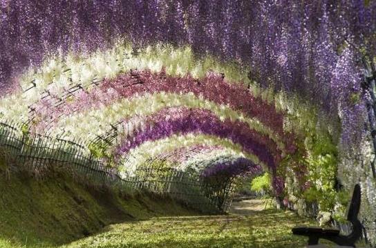 日本福岡縣十大旅游景點(diǎn)排行榜 福岡縣有什么好玩的地方