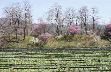 日本石川縣十大旅游景點排行榜 石川縣有什么好玩的地方