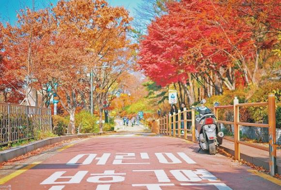 韓國(guó)十大旅游景點(diǎn)排行榜 韓國(guó)有什么好玩的地方