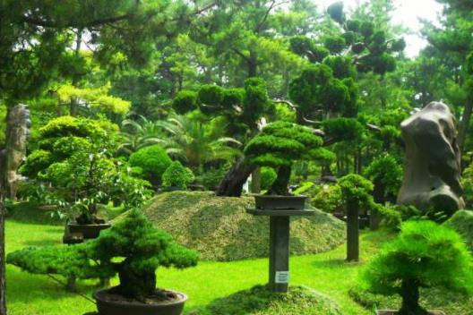 韓國濟州島十大旅游景點排行榜 濟州島有什么好玩的地方