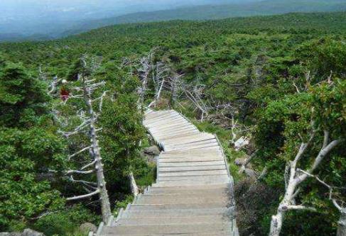 韓國濟州島十大旅游景點排行榜 濟州島有什么好玩的地方