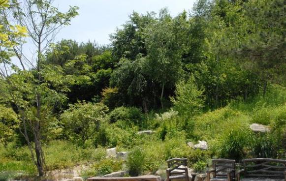 韓國京畿道十大旅游景點排行榜 京畿道有什么好玩的地方