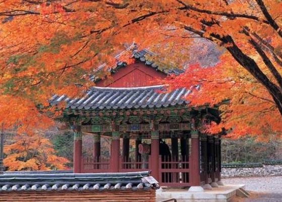 韓國全羅北道十大旅游景點(diǎn)排行榜 全羅北道有什么好玩的地方