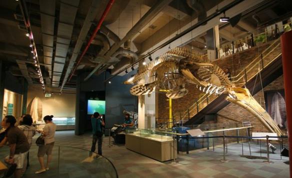 韓國(guó)蔚山六大旅游景點(diǎn)排行榜 蔚山有什么好玩的地方