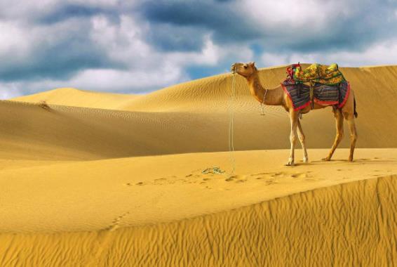 印度拉賈斯坦邦十大旅游景點排行榜 拉賈斯坦邦旅游有什么好玩的地方