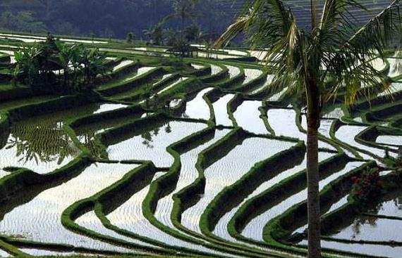 印度尼西亞十大旅游景點排行榜 印度尼西亞旅游有什么好玩的地方