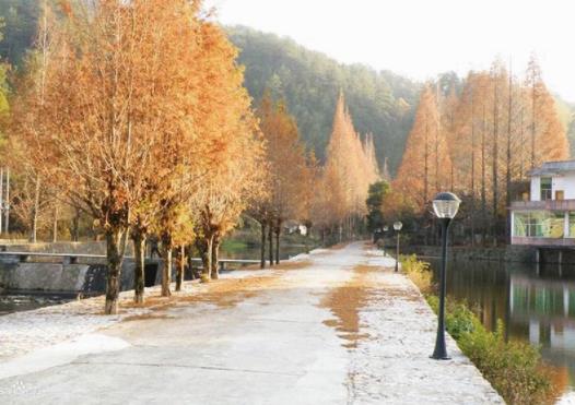 約旦十大旅游景點排行榜 約旦旅游有什么好玩的地方