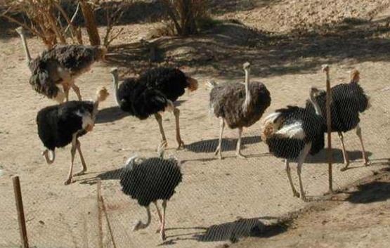 約旦十大旅游景點排行榜 約旦旅游有什么好玩的地方