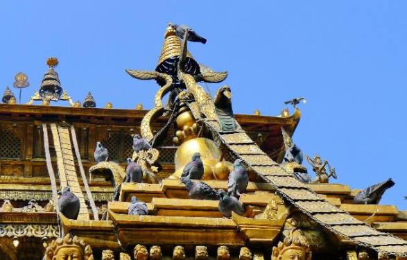 尼泊爾加德滿都十大旅游景點排行榜 加德滿都旅游有什么好玩的地方