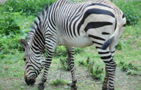 烏茲別克斯坦塔什干十大旅游景點排行榜 塔什干有什么好玩的地方